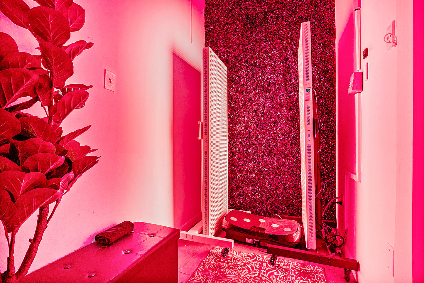 Red Light Therapy Sessions